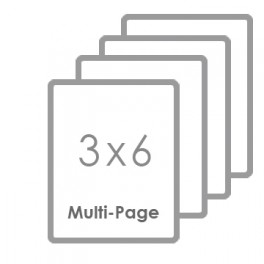 3" x 6" Multipage